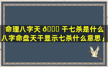 命理八字天 🐋 干七杀是什么「八字命盘天干显示七杀什么意思」